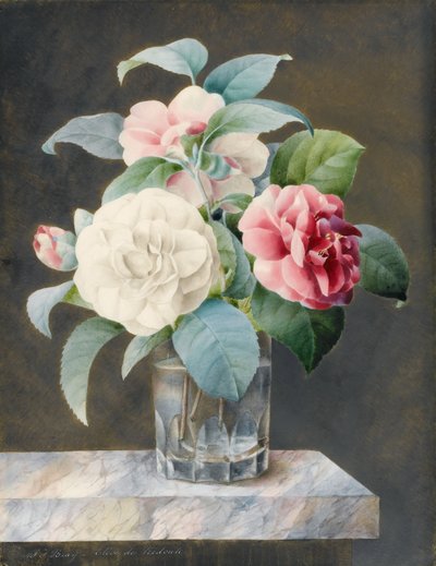 A Cut Glass Vase Containing White, Pink and Red Camelias on a Variegated Marble Slab by Sarah Bray